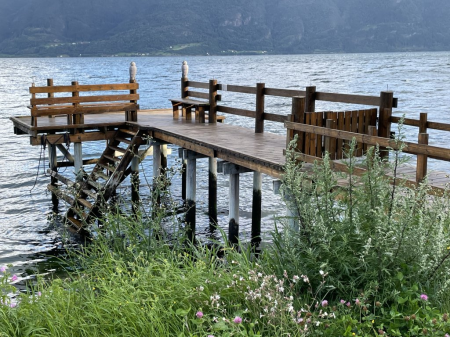 POSTAL D'ESTIU _SOBRE EL DESCANS_